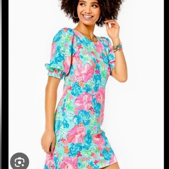 Never been worn! Lilly Pulitzer Cayce Short Sleeve Dress - Picture 9 of 11